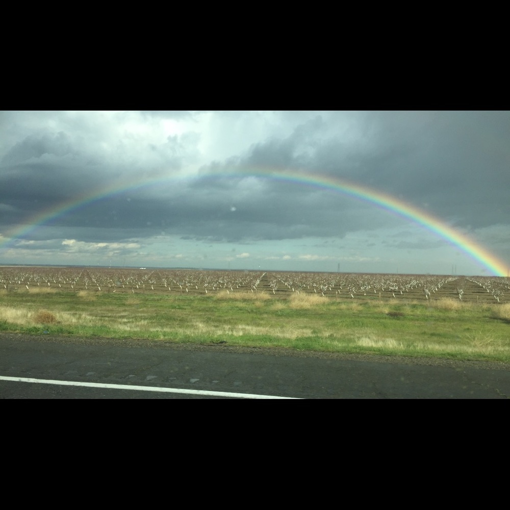 Meet your Posher, Harini